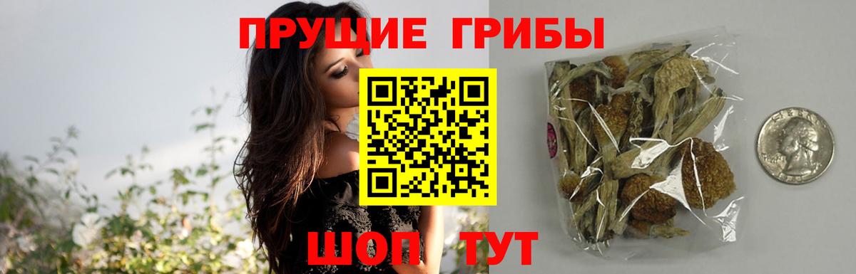 Карталы  Галлюциногенные грибы GOLDEN TEACHER  Вход с VPN 