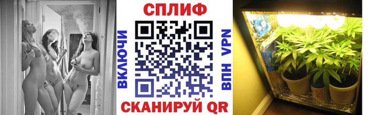 Каннабис OG Kush Карталы